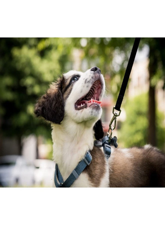 Trixie Fully Adjustable Dog Leash (Black & Red Color) Combo Pack, Light-Weight & Comfortable Dog Leash (4-6 ft./15 mm, XS-S) Suitable for Small Breeds Like Chihuahua - Image 4